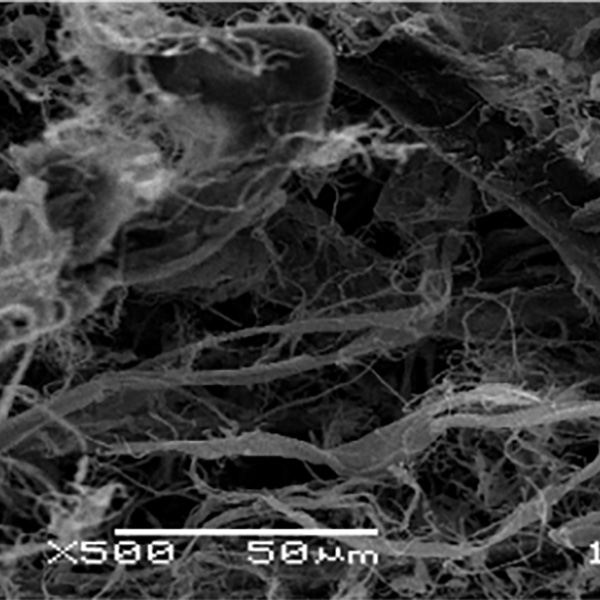 VICWA®PPTA Pulp-3