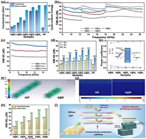 Electromagnetic Interference Shielding Performance of Interpenetrating